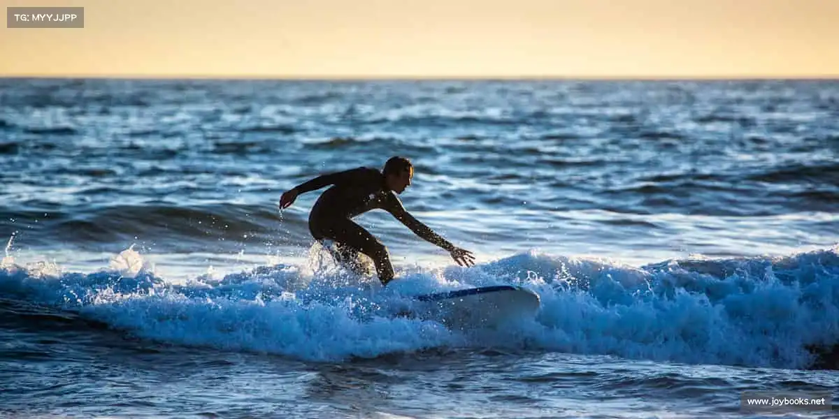 迪拜皇宫网站——运动点燃激情,活力成就梦想🏃♂️